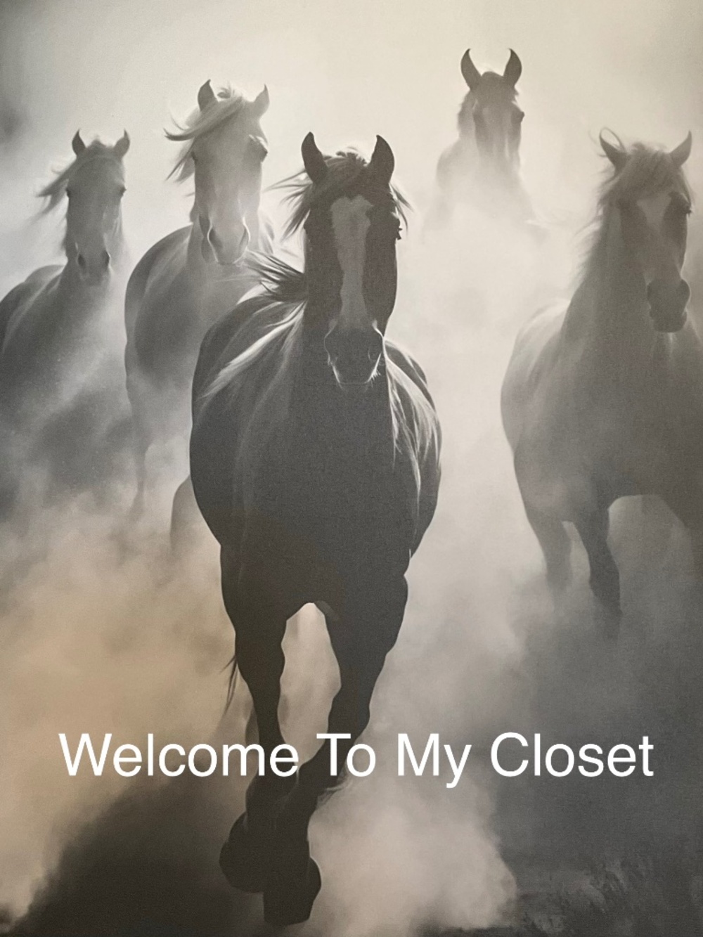Unlisted and closet Items - Welcome to my Closet